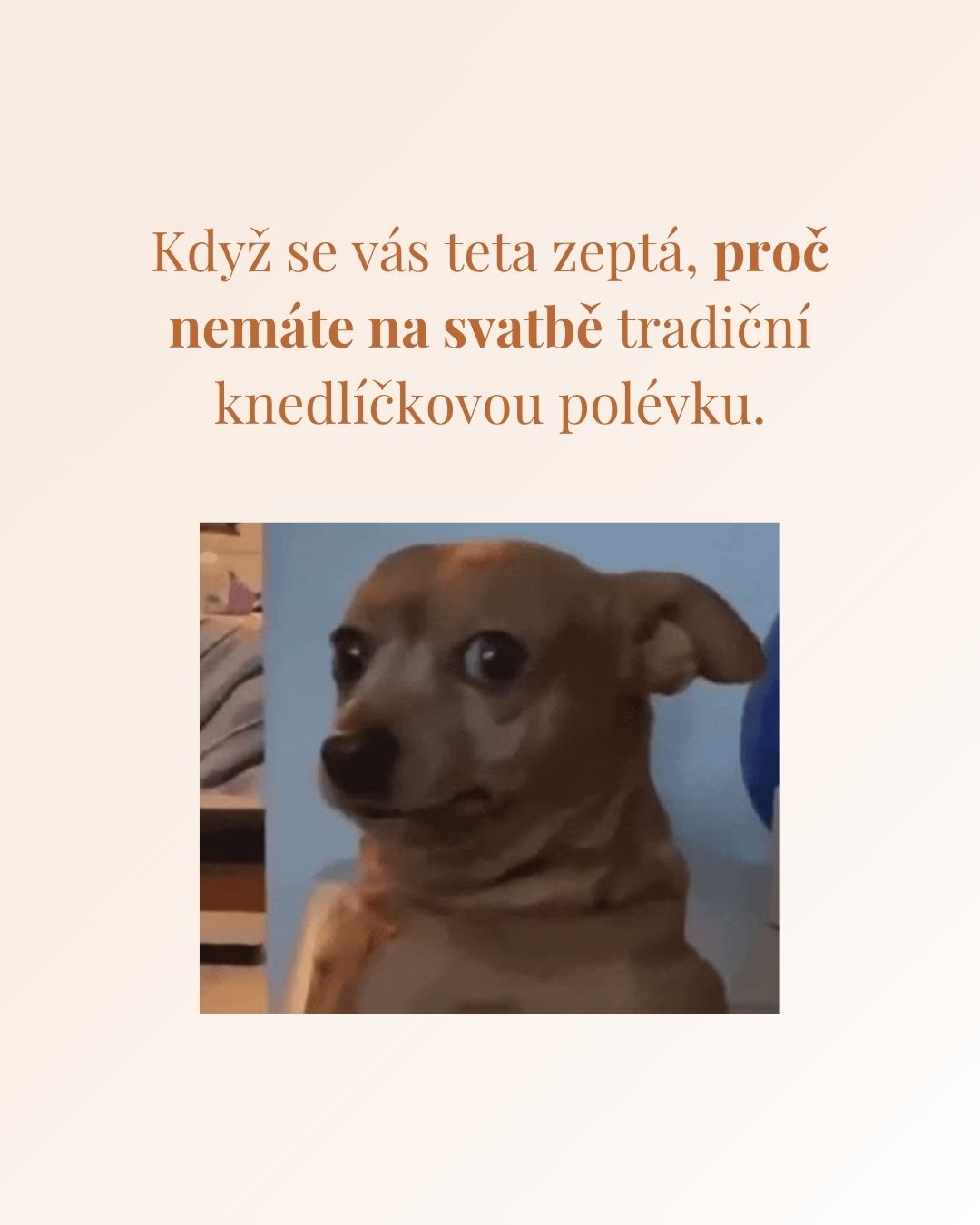 Meme post – knedlíčková polévka